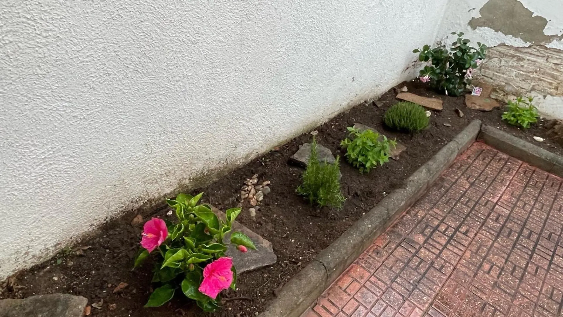 Planta Baja Con Patio Interior De Lujo Daire Calafell